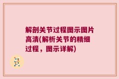 解剖关节过程图示图片高清(解析关节的精细过程，图示详解)