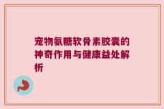 宠物氨糖软骨素胶囊的神奇作用与健康益处解析