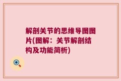 解剖关节的思维导图图片(图解：关节解剖结构及功能简析)