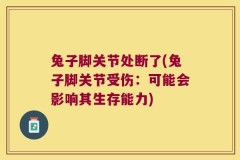 兔子脚关节处断了(兔子脚关节受伤：可能会影响其生存能力)