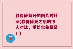 软骨修复好的图片对比图(软骨修复之后的惊人对比，重拾完美耳朵！)