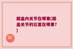 膝盖内关节在哪里(膝盖关节的位置在哪里？)