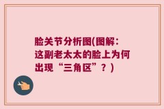 脸关节分析图(图解：这副老太太的脸上为何出现“三角区”？)