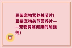 豆柴宠物营养关节片(豆柴宠物关节营养片——宠物骨骼健康的加强剂)