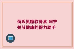 荷氏氨糖软骨素 呵护关节健康的得力助手