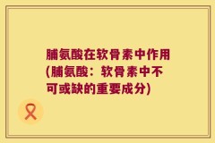 脯氨酸在软骨素中作用(脯氨酸：软骨素中不可或缺的重要成分)
