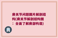 肩关节问题图片解剖结构(肩关节解剖结构图：全面了解肩部构造)