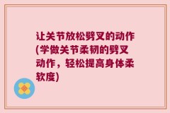 让关节放松劈叉的动作(学做关节柔韧的劈叉动作，轻松提高身体柔软度)