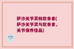 萨沙关节灵和软骨素(萨沙关节灵与软骨素，关节保养佳品)