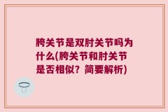 胯关节是双肘关节吗为什么(胯关节和肘关节是否相似？简要解析)