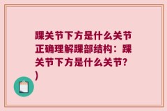 踝关节下方是什么关节正确理解踝部结构：踝关节下方是什么关节？)