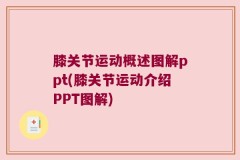 膝关节运动概述图解ppt(膝关节运动介绍PPT图解)