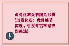 虎骨化石关节图片欣赏(珍贵化石：虎骨关节惊现，引发考古学家热烈关注)