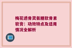 梅花透骨灵氨糖软骨素软膏：功效特点及适用情况全解析