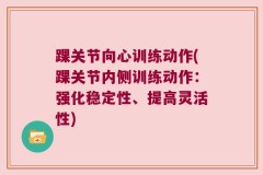 踝关节向心训练动作(踝关节内侧训练动作：强化稳定性、提高灵活性)