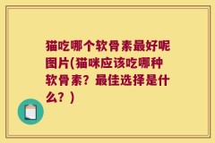 猫吃哪个软骨素最好呢图片(猫咪应该吃哪种软骨素？最佳选择是什么？)