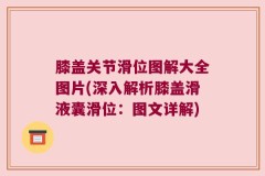 膝盖关节滑位图解大全图片(深入解析膝盖滑液囊滑位：图文详解)