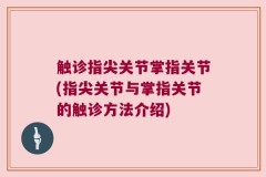 触诊指尖关节掌指关节(指尖关节与掌指关节的触诊方法介绍)