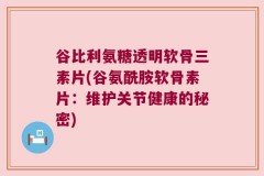 谷比利氨糖透明软骨三素片(谷氨酰胺软骨素片：维护关节健康的秘密)