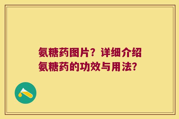 氨糖药图片?详细介绍氨糖药的功效与用法? 氨糖药图片?详细介绍氨糖药的功效与用法?