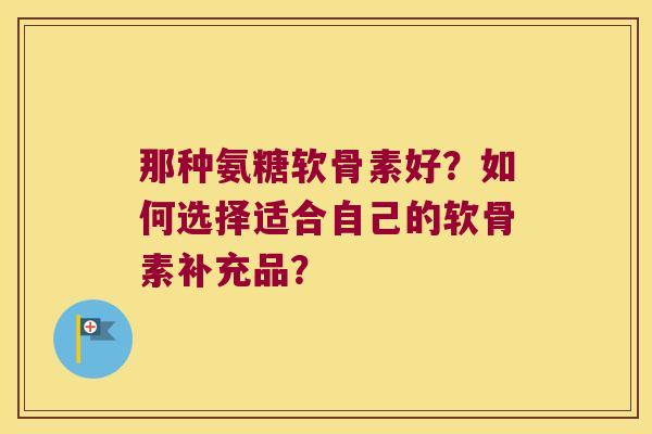 那种氨糖软骨素好？如何选择适合自己的软骨素补充品？