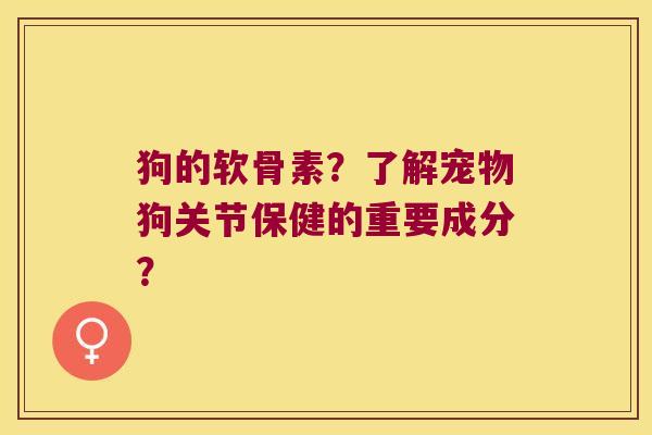 狗的软骨素?了解宠物狗关节保健的重要成分? 狗的软骨素?了解宠物狗关节保健的重要成分?