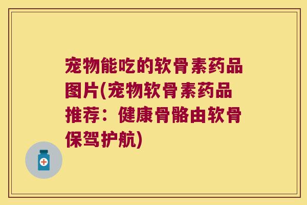 宠物能吃的软骨素药品图片(宠物软骨素药品推荐：健康骨骼由软骨保驾护航)