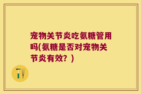 宠物吃氨糖管用吗(氨糖是否对宠物有效？)