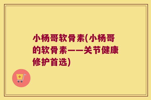 小杨哥软骨素(小杨哥的软骨素——关节健康修护首选)