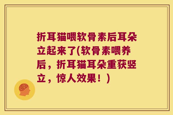 折耳猫喂软骨素后耳朵立起来了(软骨素喂养后,折耳猫耳朵重获竖立,惊人效果!) 折耳猫喂软骨素后耳朵立起来了(软骨素喂养后,折耳猫耳朵重获竖立,惊人效果!)