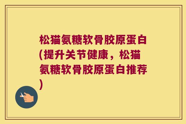 松猫氨糖软骨胶原蛋白(提升关节健康，松猫氨糖软骨胶原蛋白推荐)