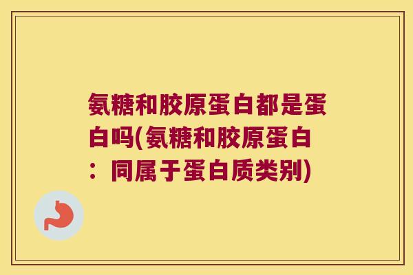 氨糖和胶原蛋白都是蛋白吗(氨糖和胶原蛋白：同属于蛋白质类别)