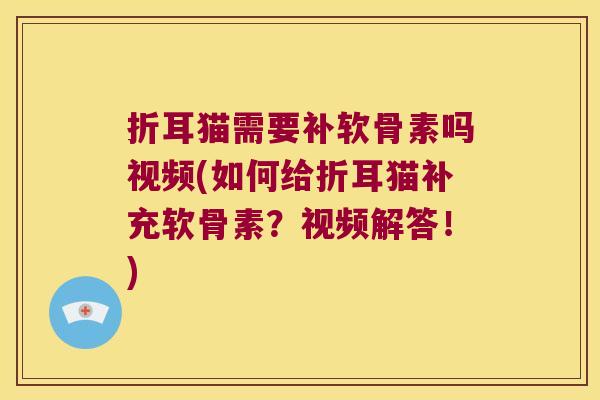 折耳猫需要补软骨素吗视频(如何给折耳猫补充软骨素?视频解答!) 折耳猫需要补软骨素吗视频(如何给折耳猫补充软骨素?视频解答!)