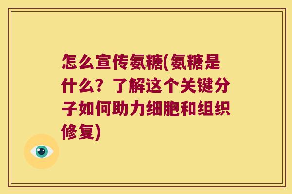 怎么宣传氨糖(氨糖是什么?了解这个关键分子如何助力细胞和组织修复) 怎么宣传氨糖(氨糖是什么?了解这个关键分子如何助力细胞和组织修复)