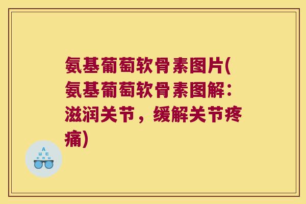 氨基葡萄软骨素图片(氨基葡萄软骨素图解:滋润关节,缓解关节) 氨基葡萄软骨素图片(氨基葡萄软骨素图解:滋润关节,缓解关节)