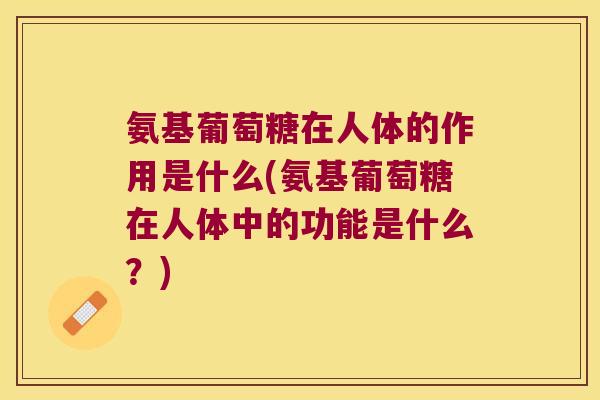 氨基葡萄糖在人体的作用是什么(氨基葡萄糖在人体中的功能是什么?) 氨基葡萄糖在人体的作用是什么(氨基葡萄糖在人体中的功能是什么?)