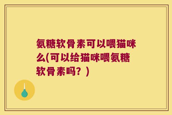 氨糖软骨素可以喂猫咪么(可以给猫咪喂氨糖软骨素吗？)