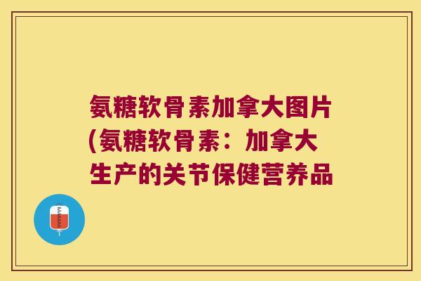 氨糖软骨素加拿大图片(氨糖软骨素：加拿大生产的关节保健营养品