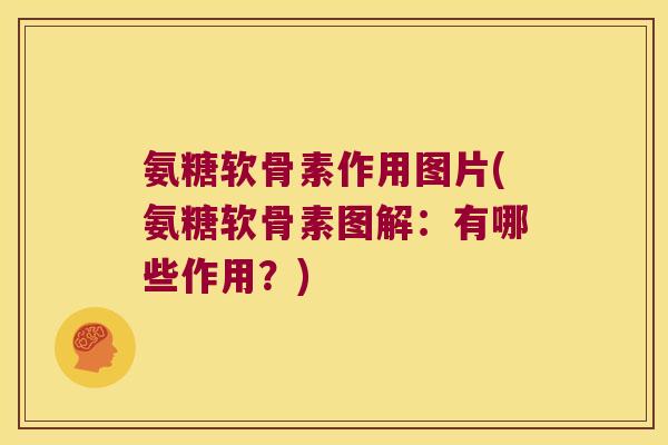 氨糖软骨素作用图片(氨糖软骨素图解：有哪些作用？)