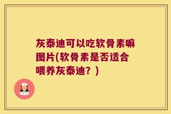 灰泰迪可以吃软骨素嘛图片(软骨素是否适合喂养灰泰迪?) 灰泰迪可以吃软骨素嘛图片(软骨素是否适合喂养灰泰迪?)