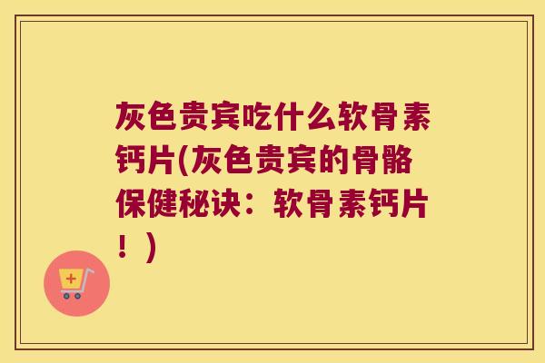 灰色贵宾吃什么软骨素钙片(灰色贵宾的骨骼保健秘诀：软骨素钙片！)