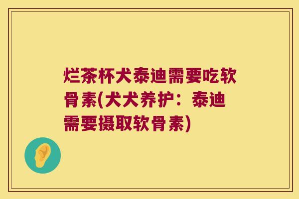 烂茶杯犬泰迪需要吃软骨素(犬犬养护：泰迪需要摄取软骨素)