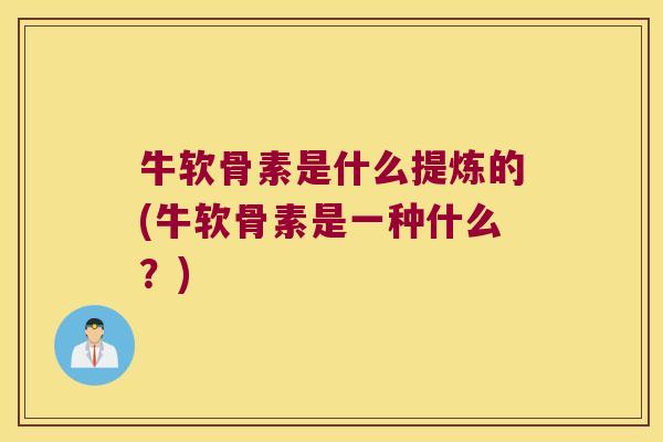 牛软骨素是什么提炼的(牛软骨素是一种什么？)
