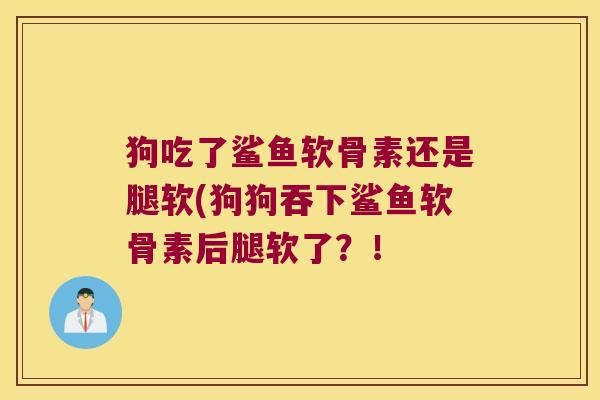 狗吃了鲨鱼软骨素还是腿软(狗狗吞下鲨鱼软骨素后腿软了?! 狗吃了鲨鱼软骨素还是腿软(狗狗吞下鲨鱼软骨素后腿软了?!