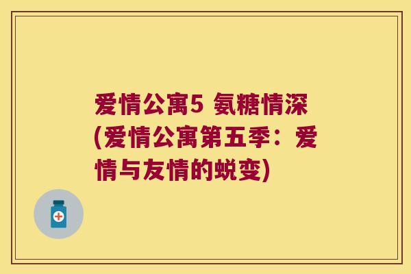 爱情公寓5 氨糖情深(爱情公寓第五季：爱情与友情的蜕变)