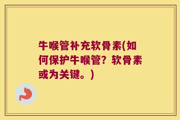牛喉管补充软骨素(如何保护牛喉管?软骨素或为关键。) 牛喉管补充软骨素(如何保护牛喉管?软骨素或为关键。)