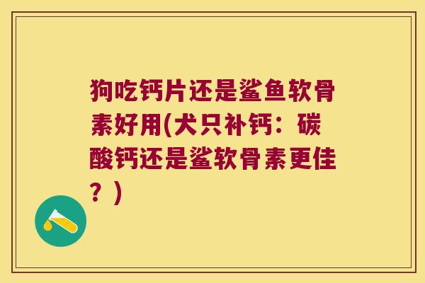 狗吃钙片还是鲨鱼软骨素好用(犬只补钙：碳酸钙还是鲨软骨素更佳？)