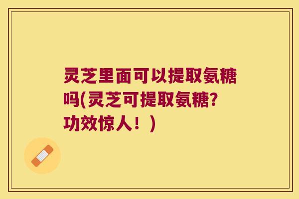 灵芝里面可以提取氨糖吗(灵芝可提取氨糖？功效惊人！)