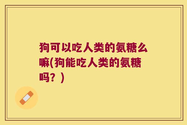 狗可以吃人类的氨糖么嘛(狗能吃人类的氨糖吗?) 狗可以吃人类的氨糖么嘛(狗能吃人类的氨糖吗?)
