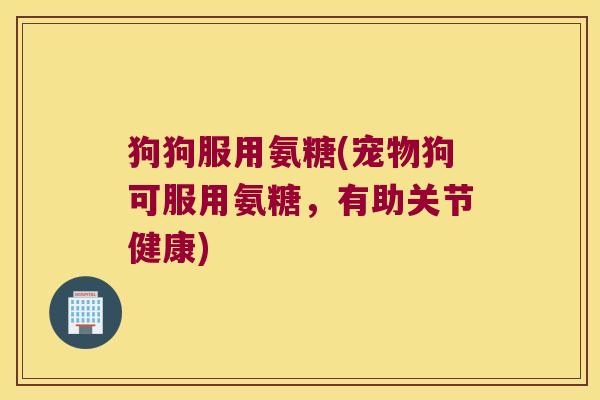 狗狗服用氨糖(宠物狗可服用氨糖,有助关节健康) 狗狗服用氨糖(宠物狗可服用氨糖,有助关节健康)